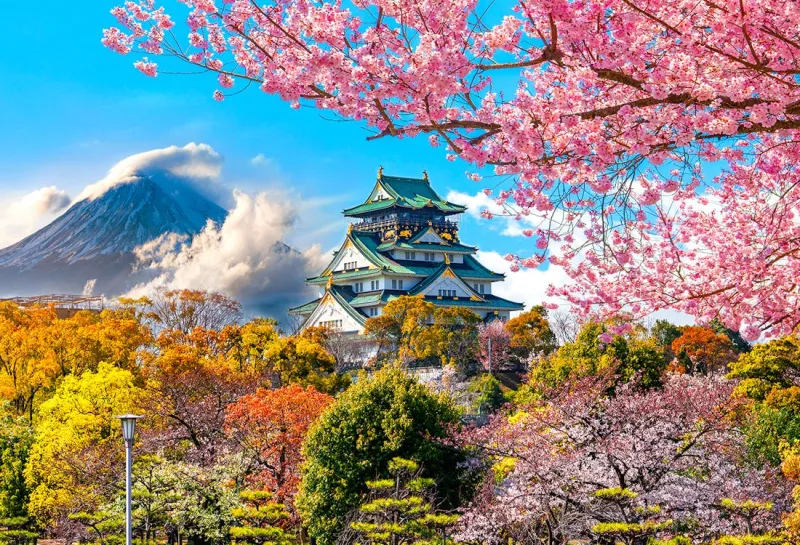 Japan (Multiple Entry)